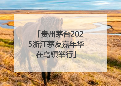 贵州茅台2025浙江茅友嘉年华在乌镇举行